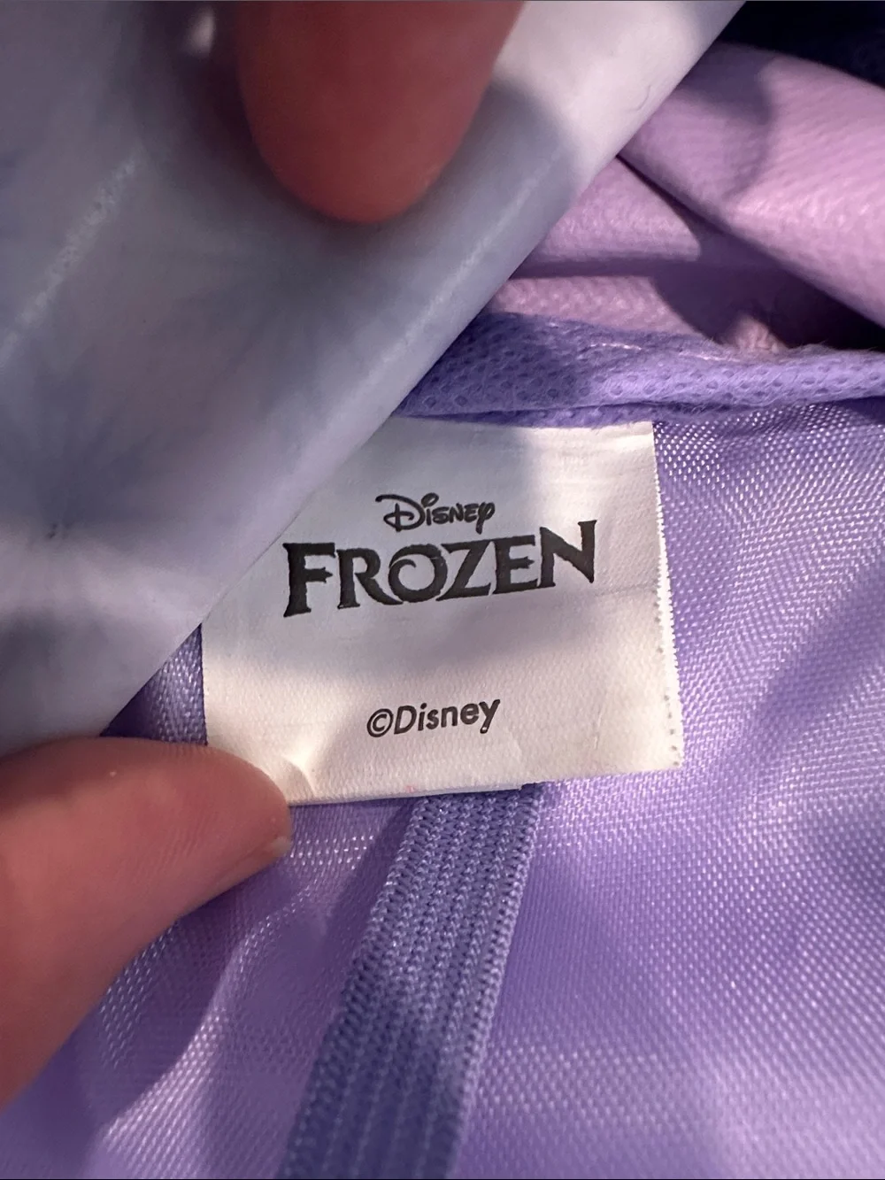 Disney features elsa